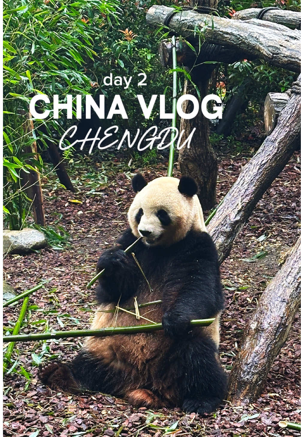 rach & steve | food & travel, Ma Wang Zi Chuan Restaurant