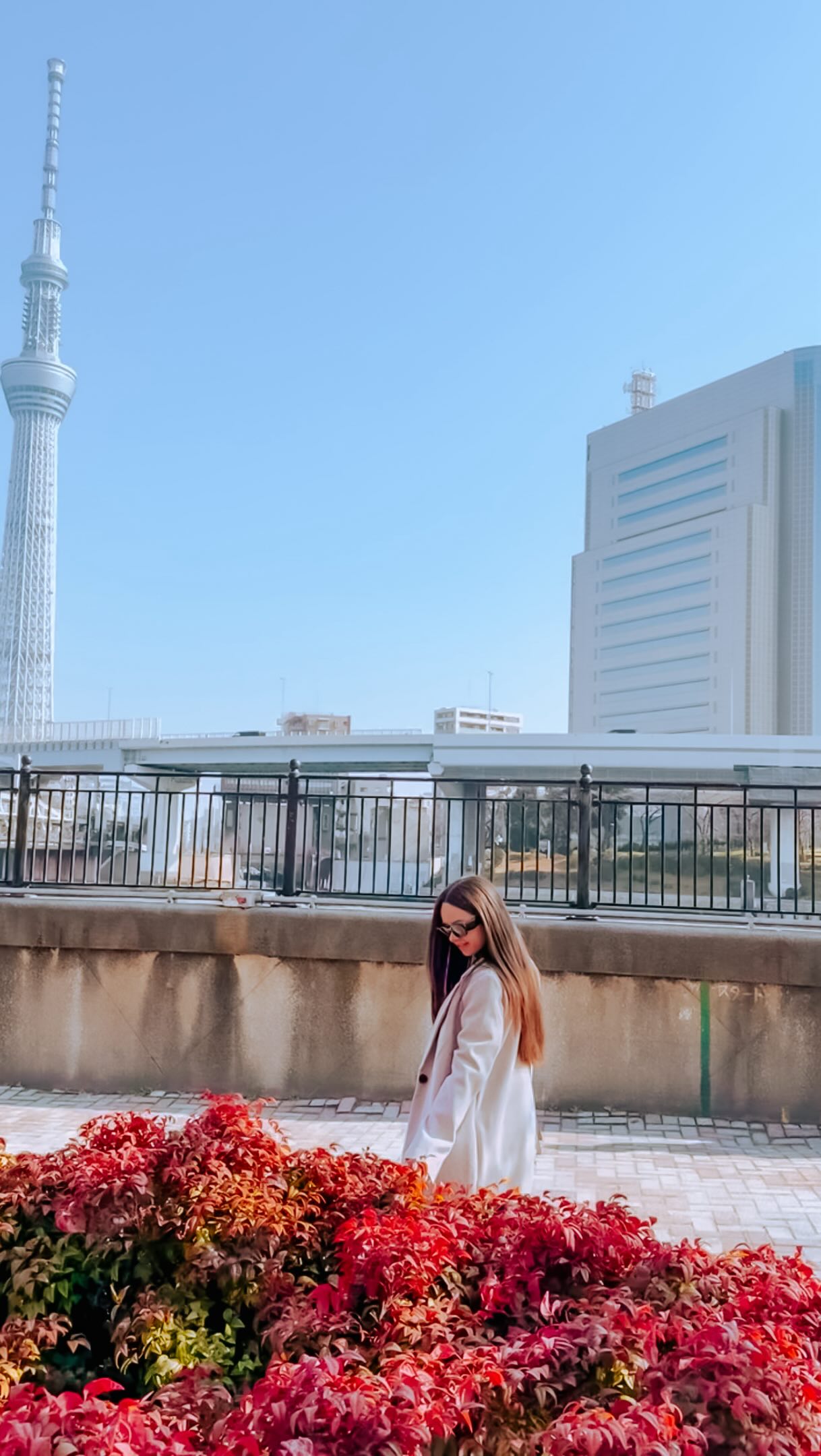 Gleiciane Bezerra | Dicas de Viagens ✈️, Hachikō Memorial Statue