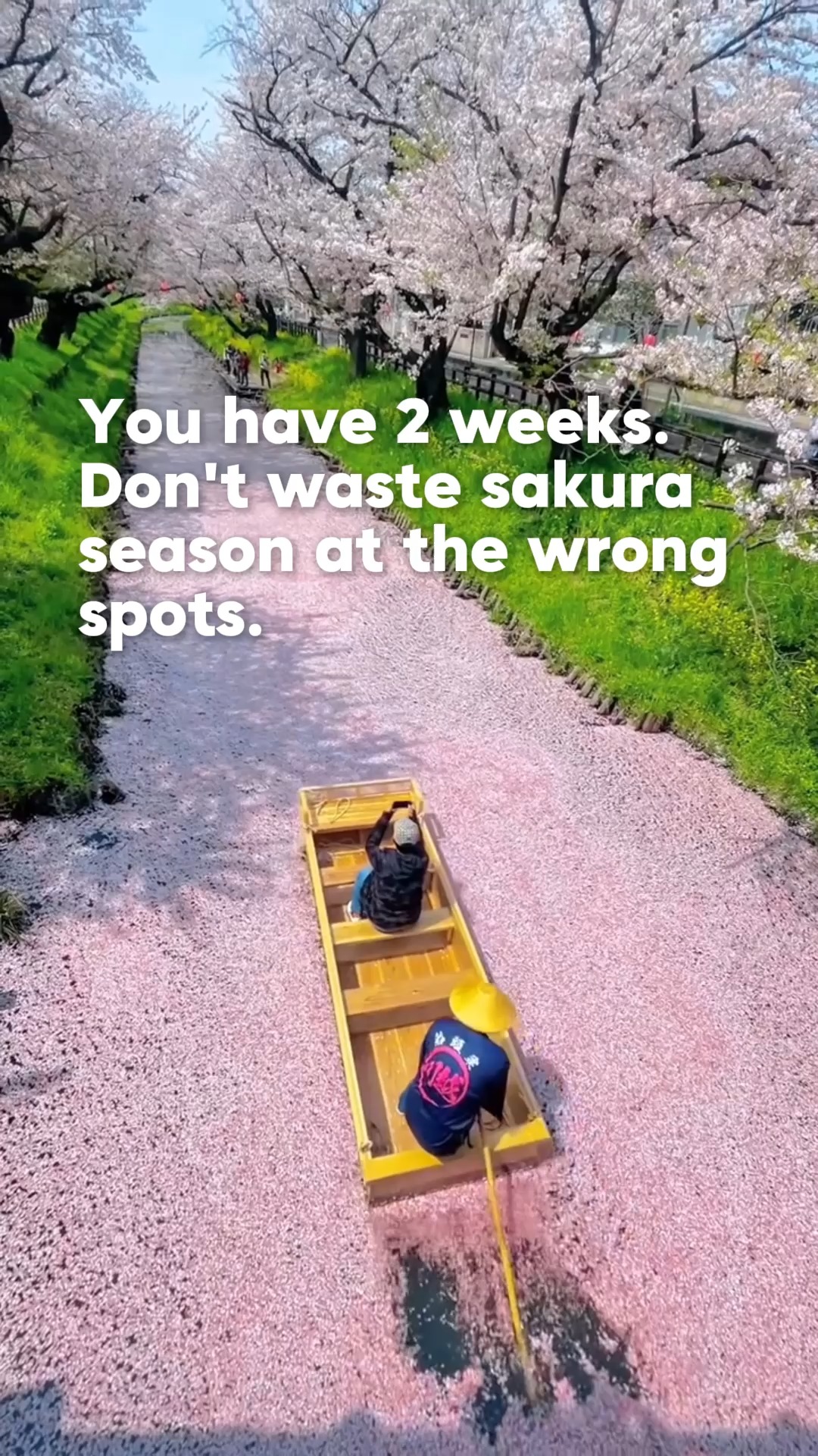 Eva Wang, Maruyama Park