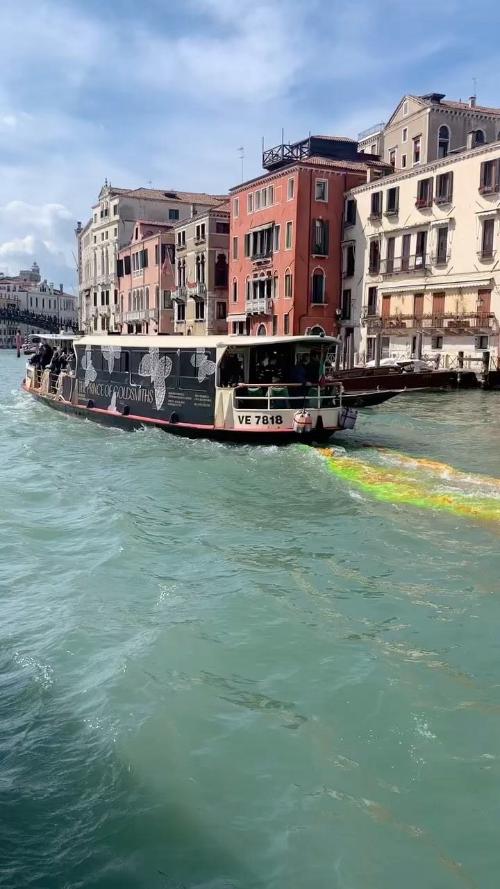 La Nuova di Venezia e Mestre, Gallerie dell'Accademia