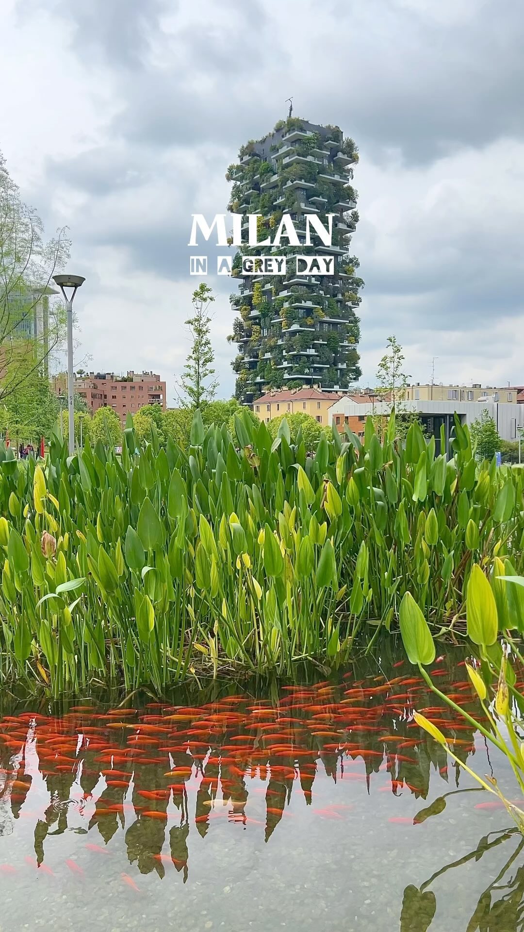 ᴀʙᴅᴜʟʟᴀʜ ᴀʟ ᴋʜʟᴇᴇꜰ | ᴀʙɪ, Bosco Verticale