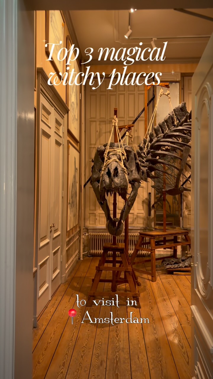 Monster & Spinelli - Jackie, Art Zoo Museum