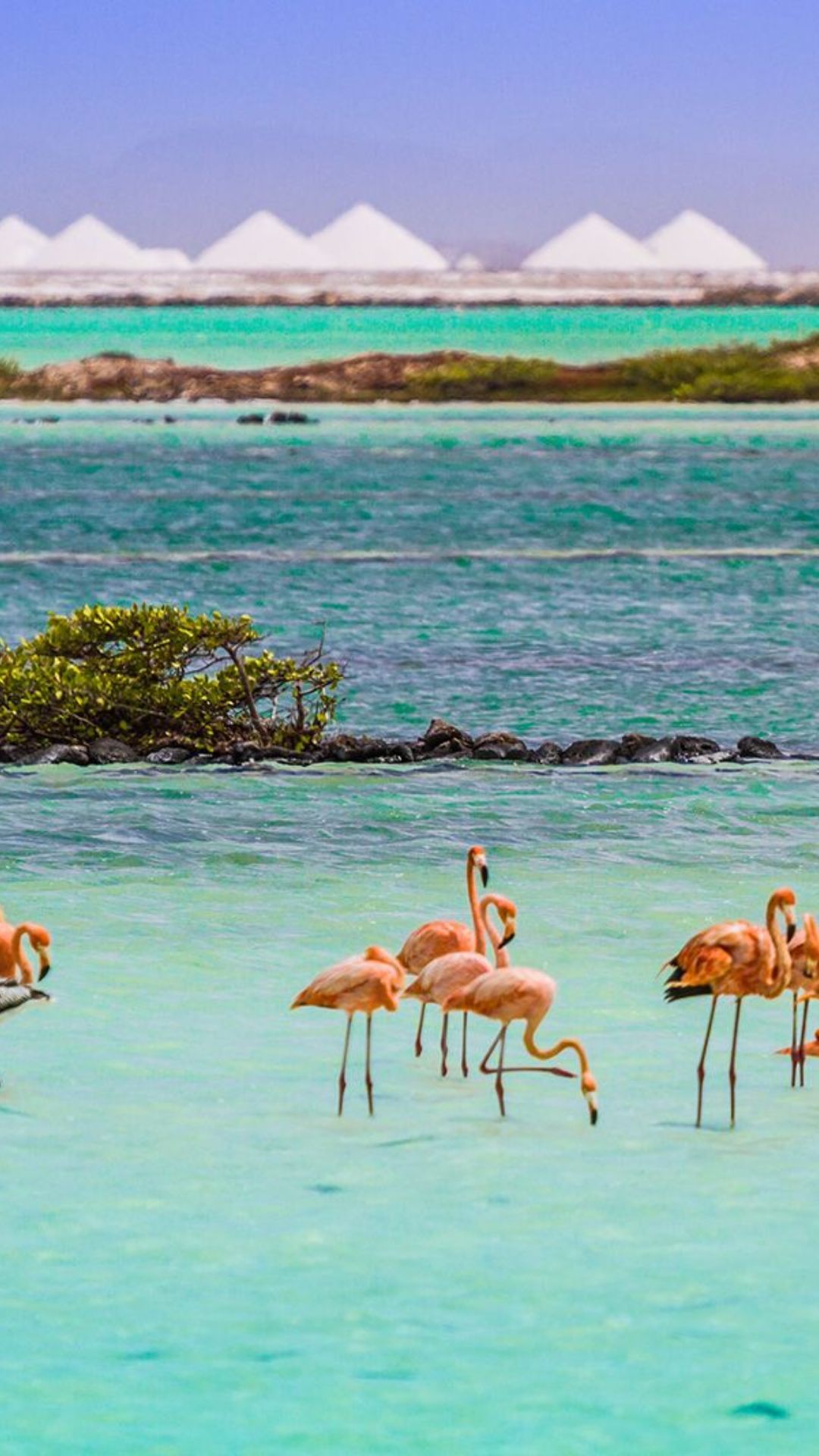 Caribbean Compass Magazine & Newsletter, Solar Salt Works of Bonaire