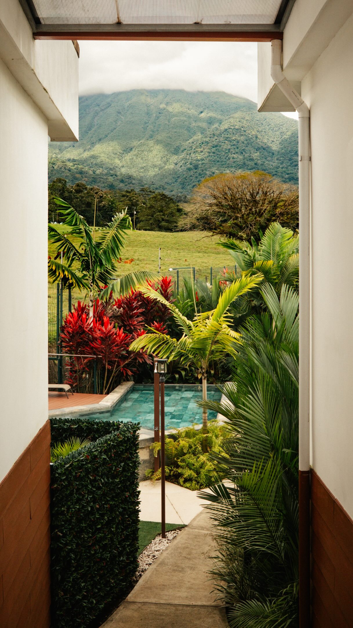Mariah Hark, Refugio de Vida Silvestre y Eco Hospedaje Oasis Arenal