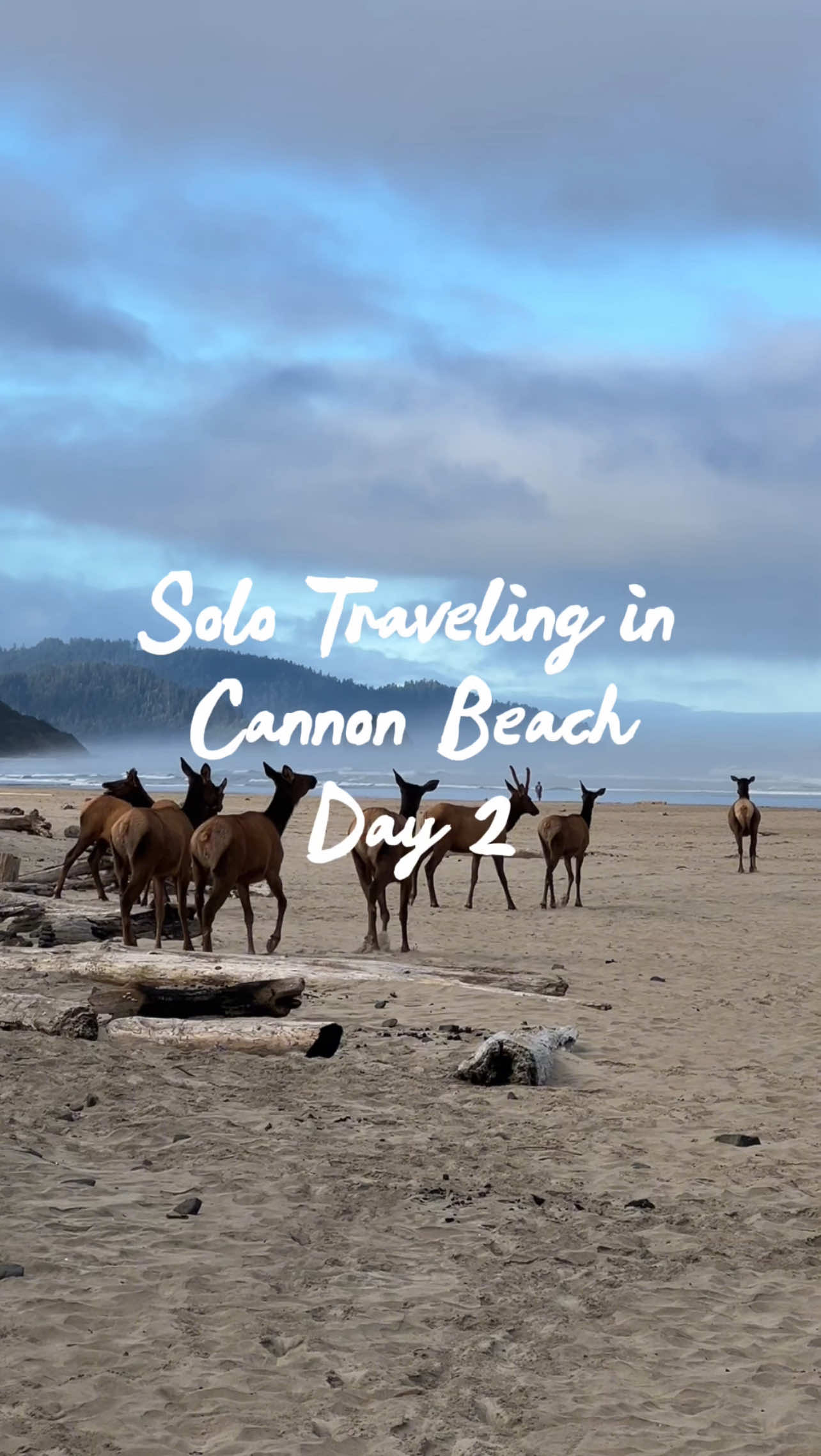 postcardsfrompeyton 💌, Insomnia Coffee Co - Cannon Beach