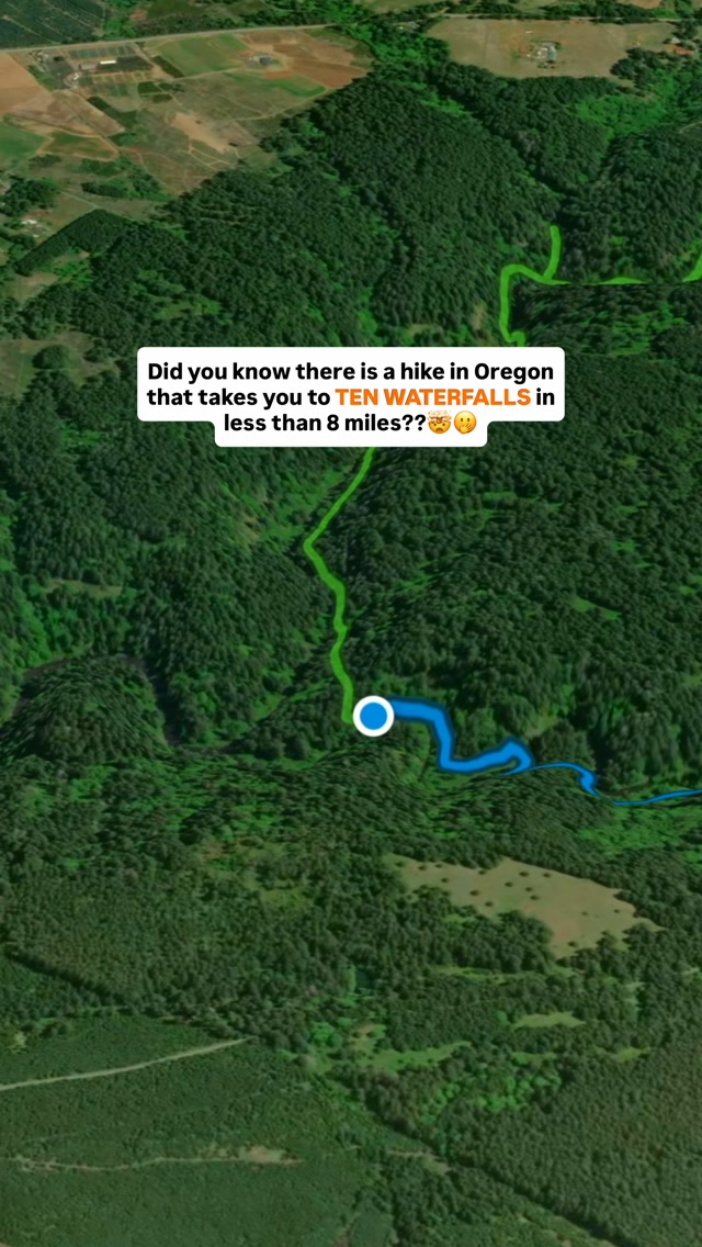 DANNY & DANIE | travel | hiking | road trips, Silver Falls State Park