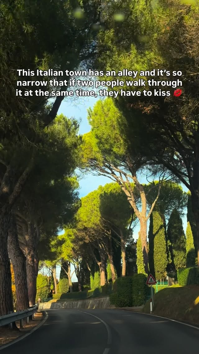 𝐃𝐫𝐢𝐬𝐡𝐭𝐢 | Road Trips & Unique Places, Orvieto
