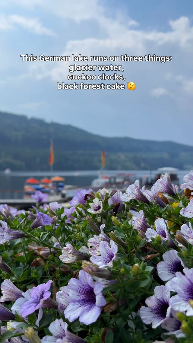 𝐃𝐫𝐢𝐬𝐡𝐭𝐢 | Road Trips & Unique Places, Titisee