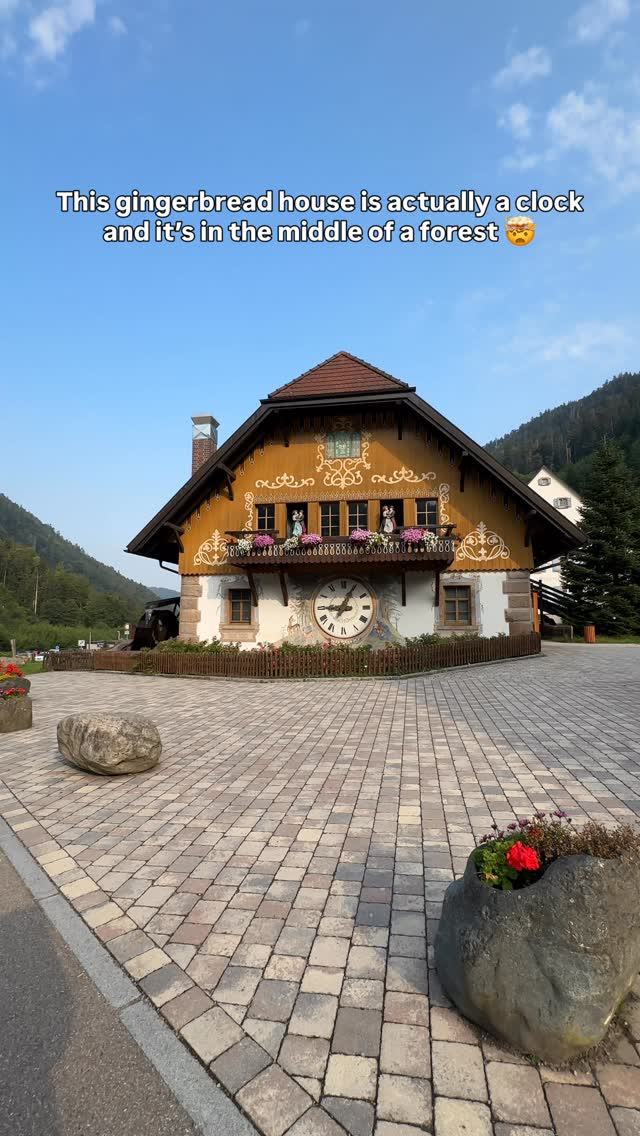 𝐃𝐫𝐢𝐬𝐡𝐭𝐢 | Road Trips & Unique Places, Ravenna Gorge