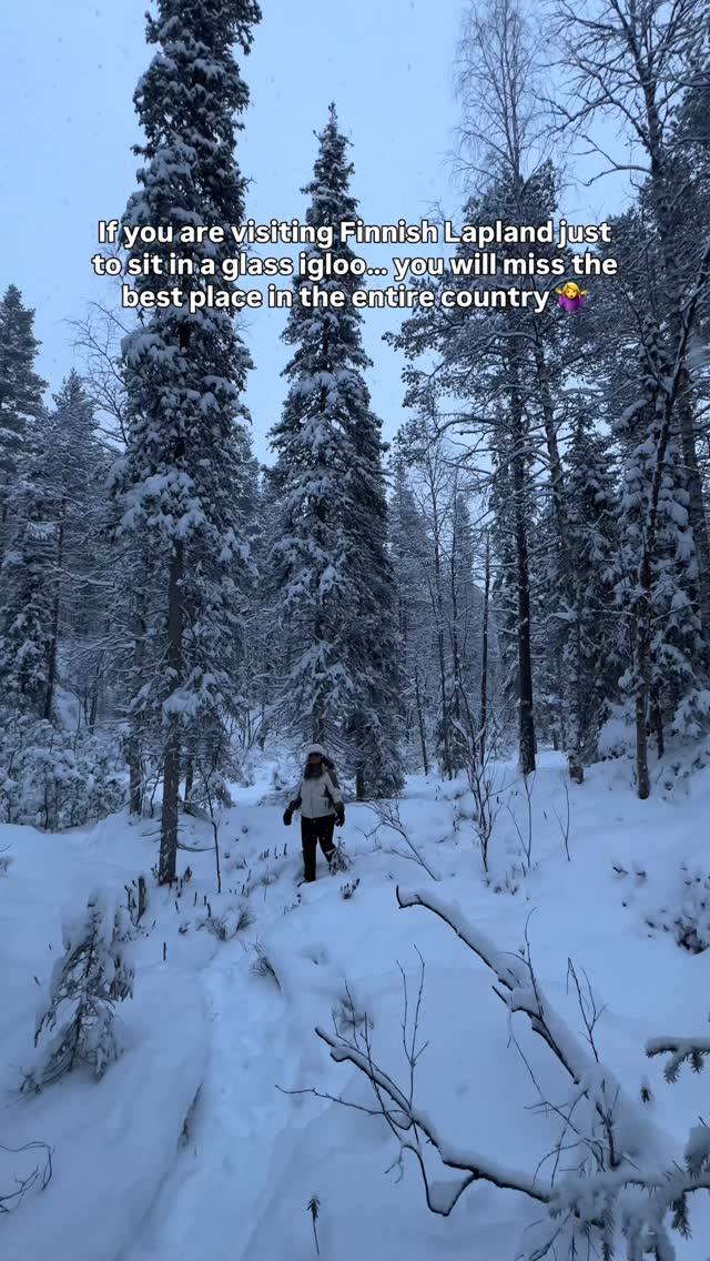 𝐃𝐫𝐢𝐬𝐡𝐭𝐢 | Road Trips & Unique Places, Oulanka National Park