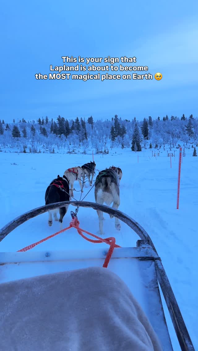 𝐃𝐫𝐢𝐬𝐡𝐭𝐢 | Road Trips & Unique Places, Santa Claus Village