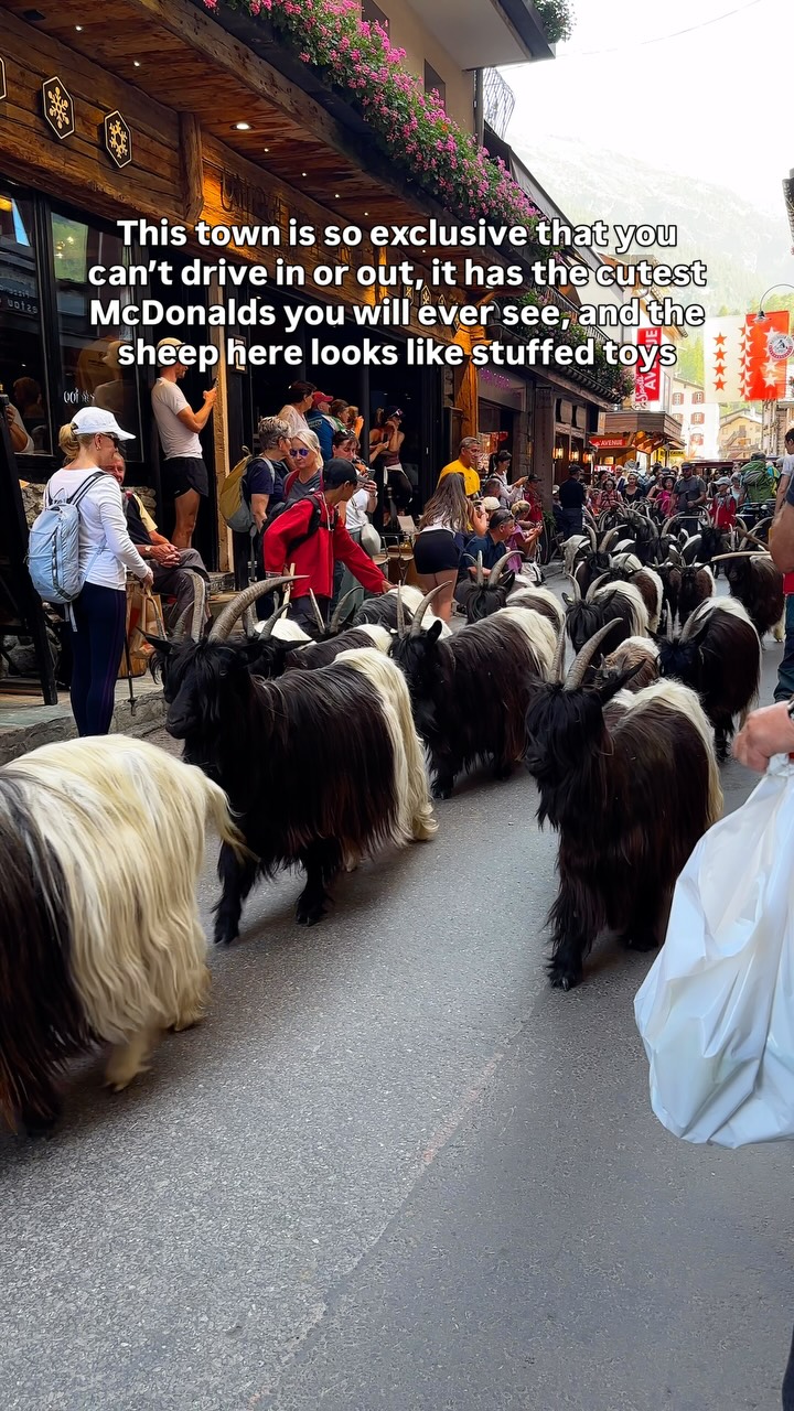 𝐃𝐫𝐢𝐬𝐡𝐭𝐢 | Road Trips & Unique Places, Zermatt