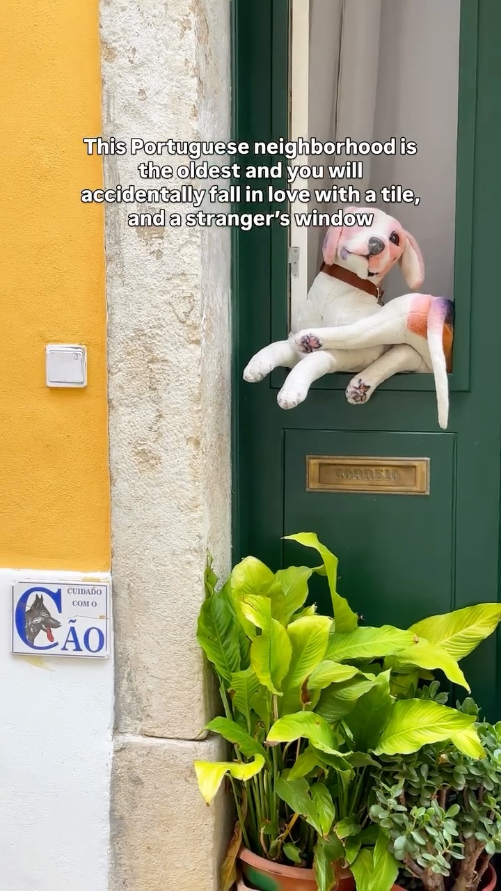 𝐃𝐫𝐢𝐬𝐡𝐭𝐢 | Road Trips & Unique Places, Alfama