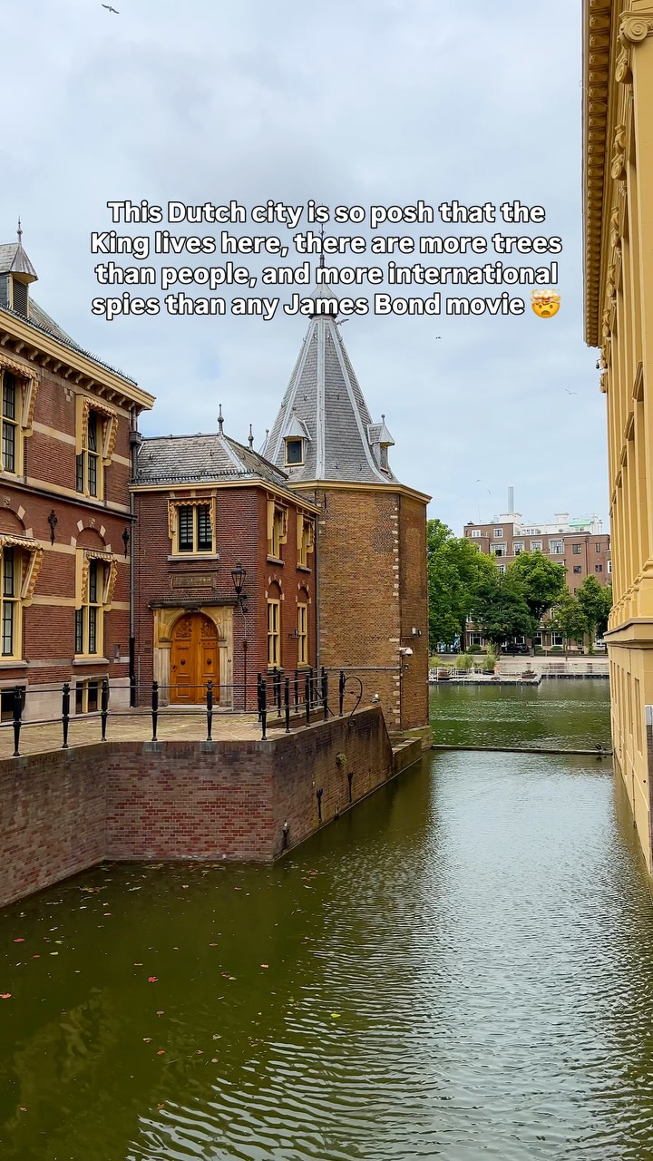 𝐃𝐫𝐢𝐬𝐡𝐭𝐢 | Road Trips & Unique Places, Mauritshuis