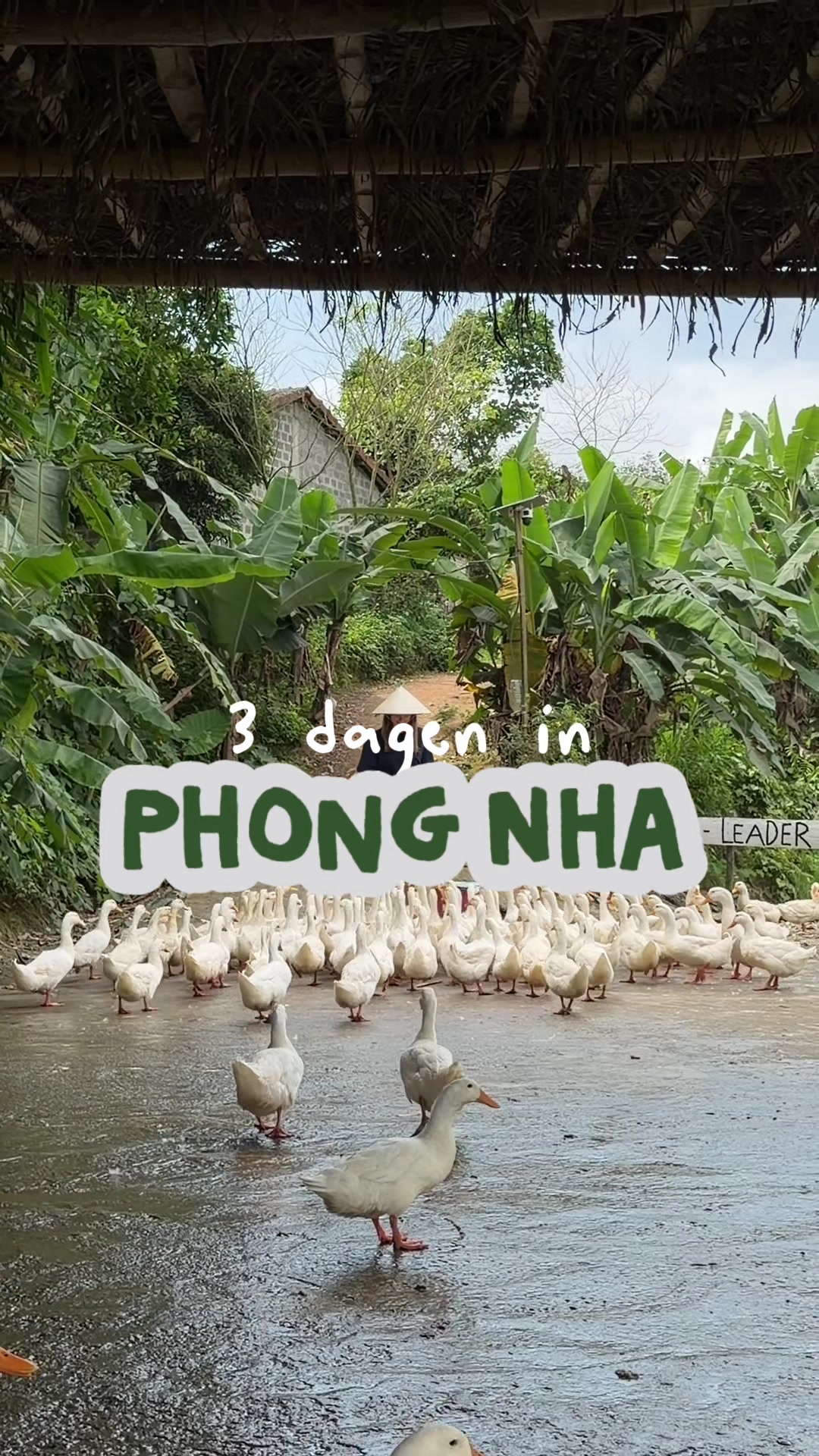 Marit | your travel bestie🌴🌊, Phong Nha - Ke Bang National Park