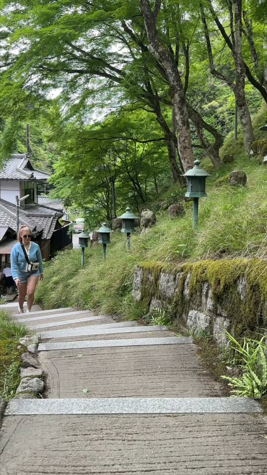 TylerReganTravels, Arashiyama Bamboo Forest