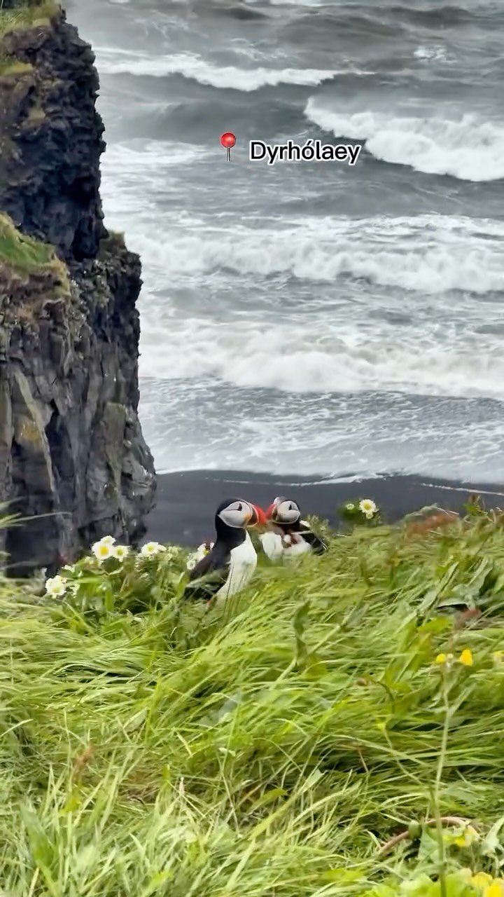 Тилек Исмаилов, Jökulsárlón