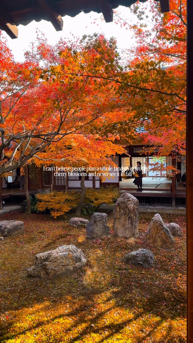 Natalia Hasenkampf | San Diego + Travel, Kōdaiji Temple