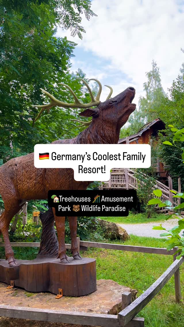 Mayson Berliner, Wildparadies Tripsdrill
