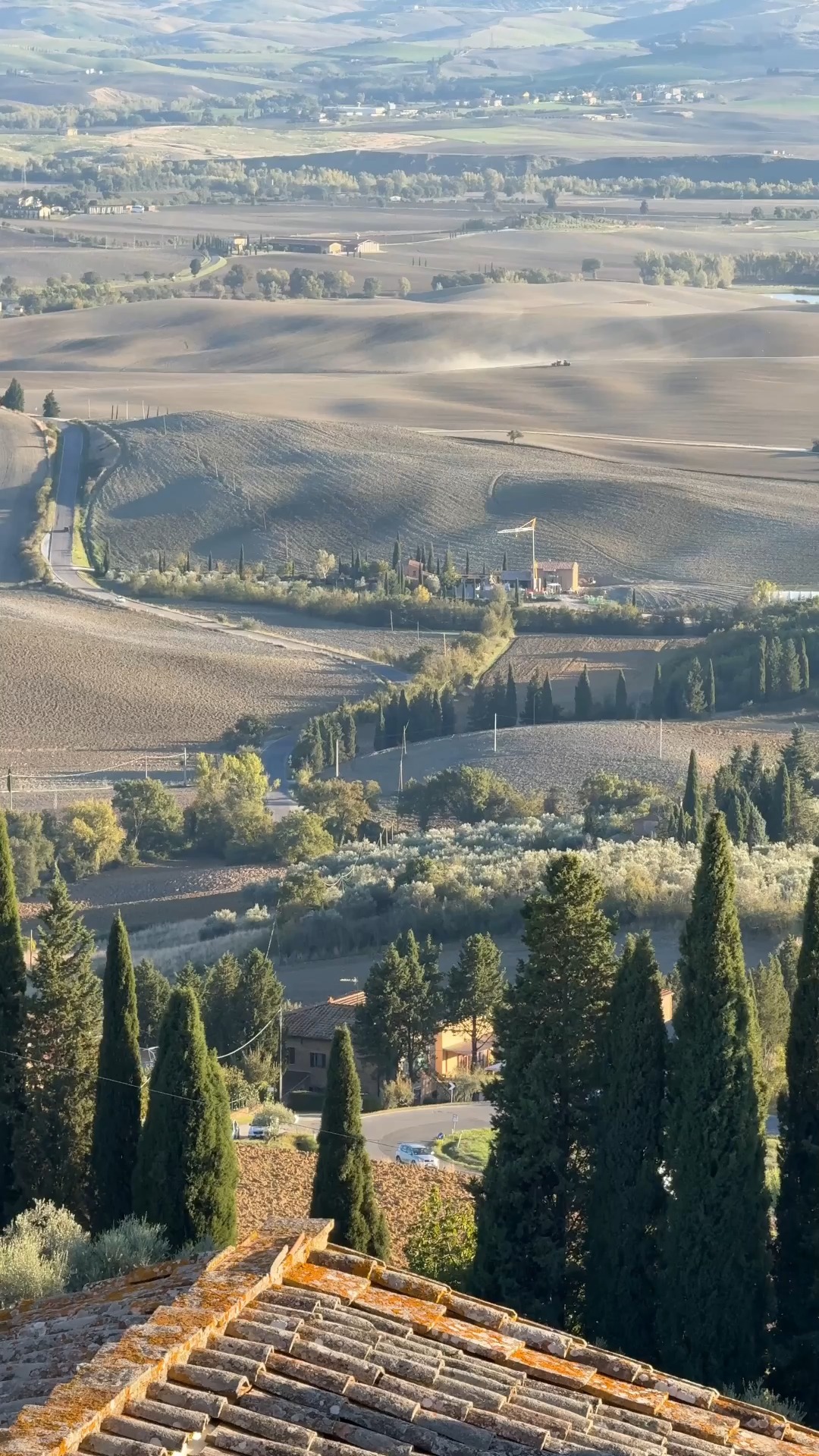 A miles collector, Florence