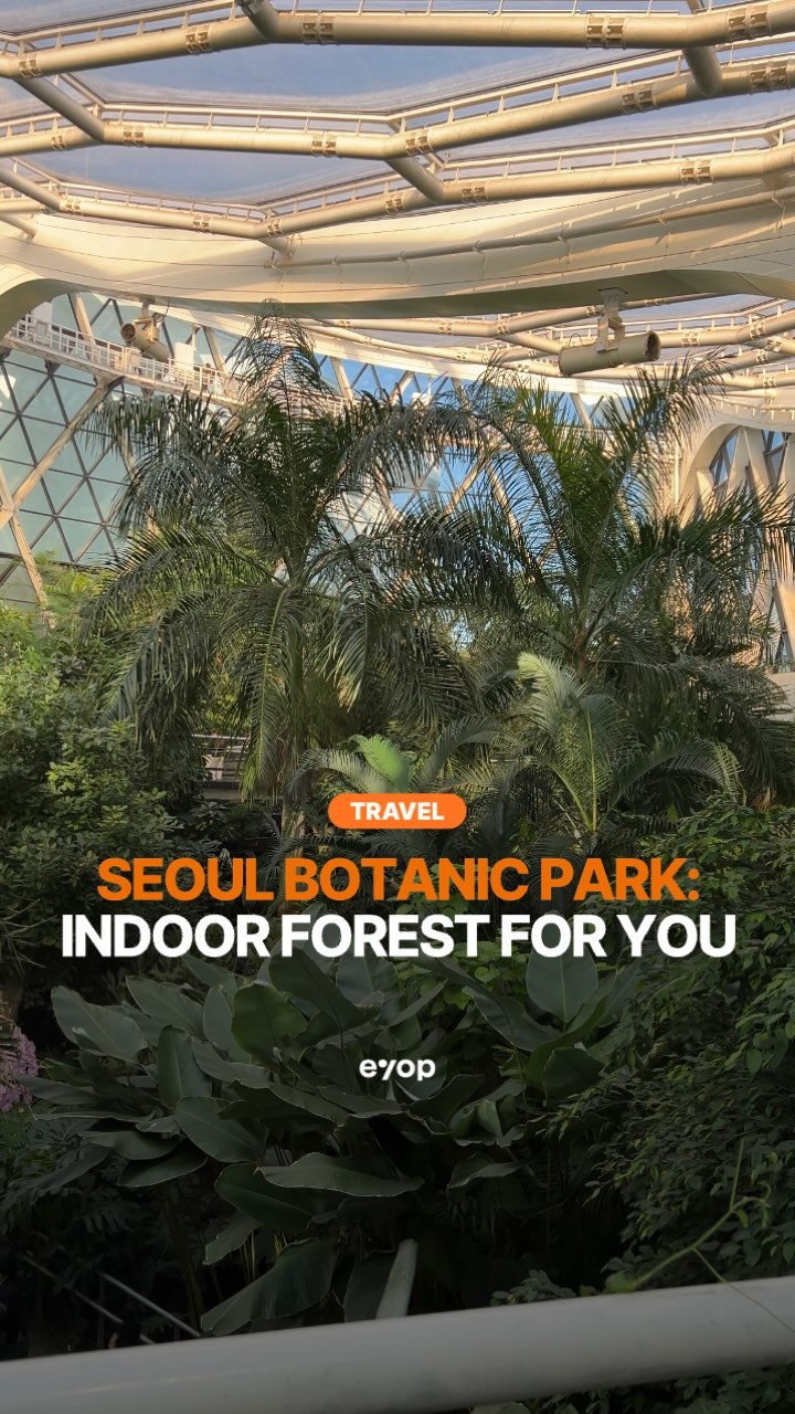 eyop, Yeouido Hangang Park