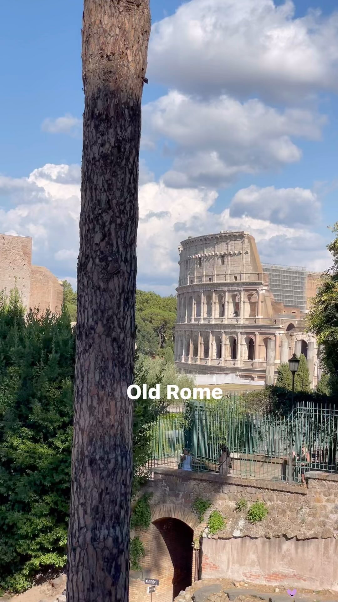 Cyrus Arya, Colosseum