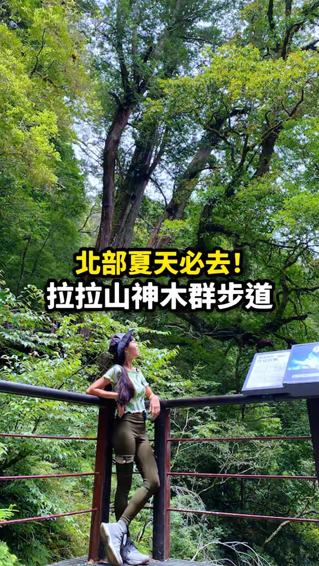#肉比頭 #用奇怪方式環遊世界的情侶, 水蜜桃達人農場,拉拉山水蜜桃,採水蜜桃,水蜜桃