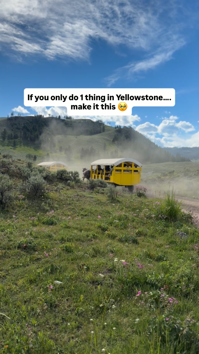 Kristen | Family Adventure Travel | Midwest & Beyond, Yellowstone National Park