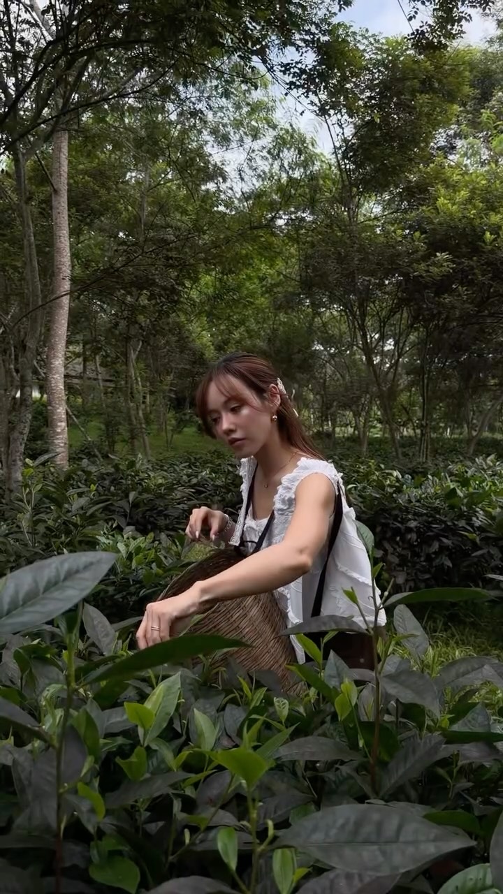 Eark Natchalee, Araksa Tea Garden