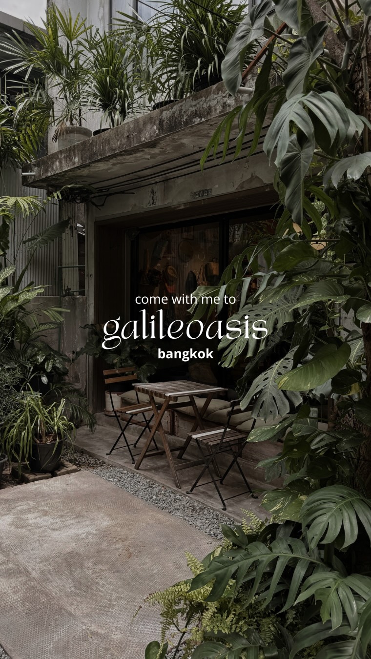 Kat Chanyatipsakul, GalileOasis