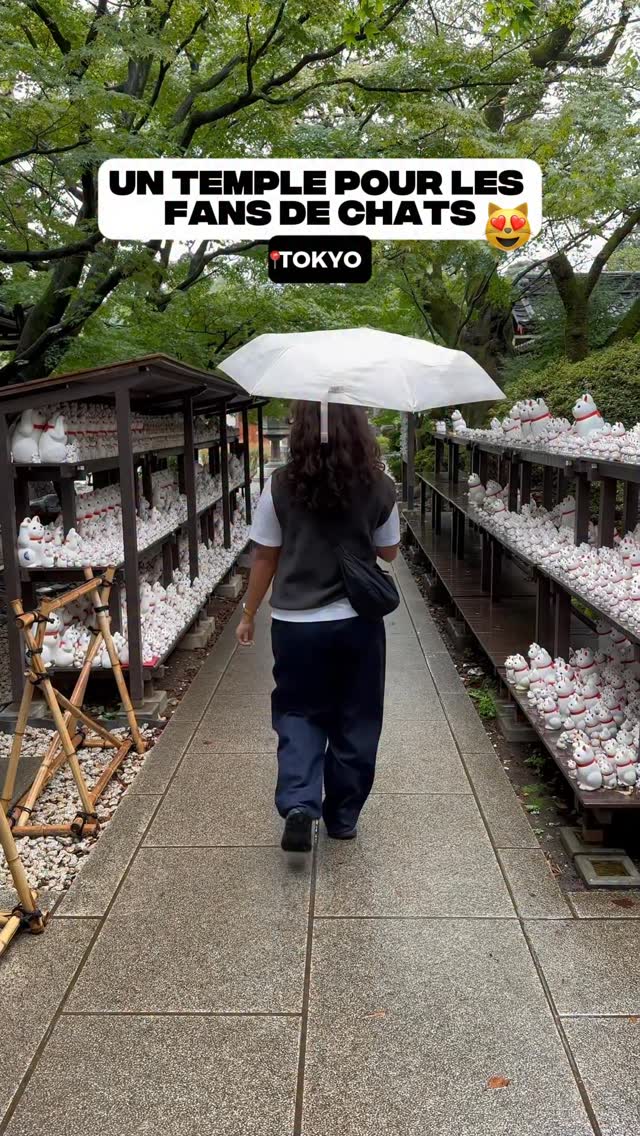 Maureen et Antho - Voyage & Lifestyle 🌏, Shimokitazawa