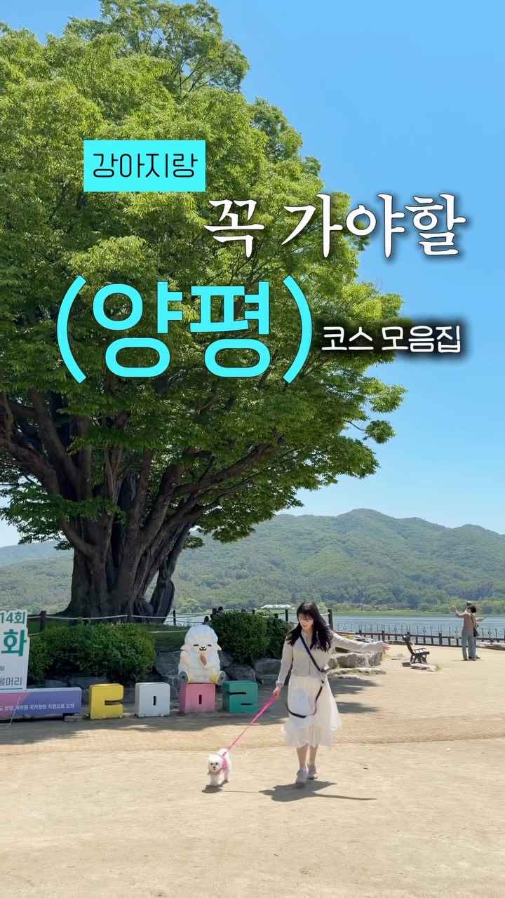 서동언니🐶 | 애견동반 장소 가이드, 뜰안채 한옥식당