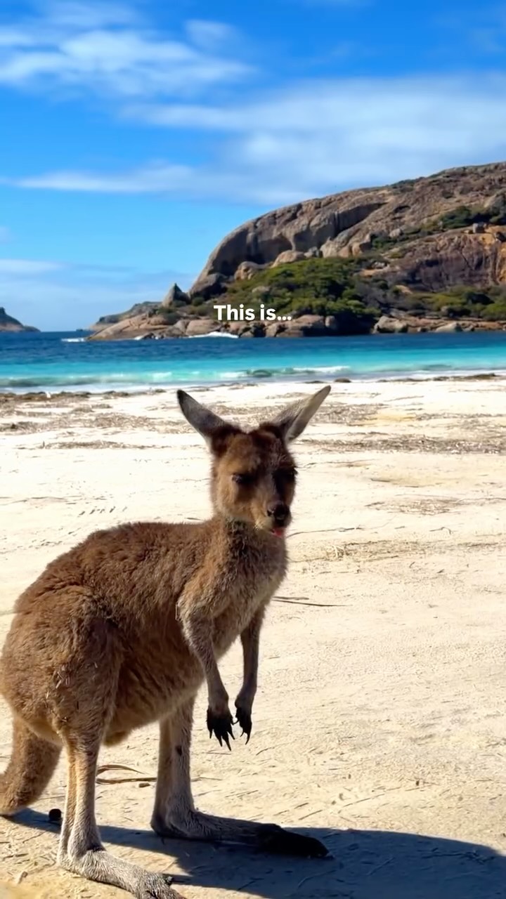 Britt & Mitch ✈ Australian Travel Creators, Esperance