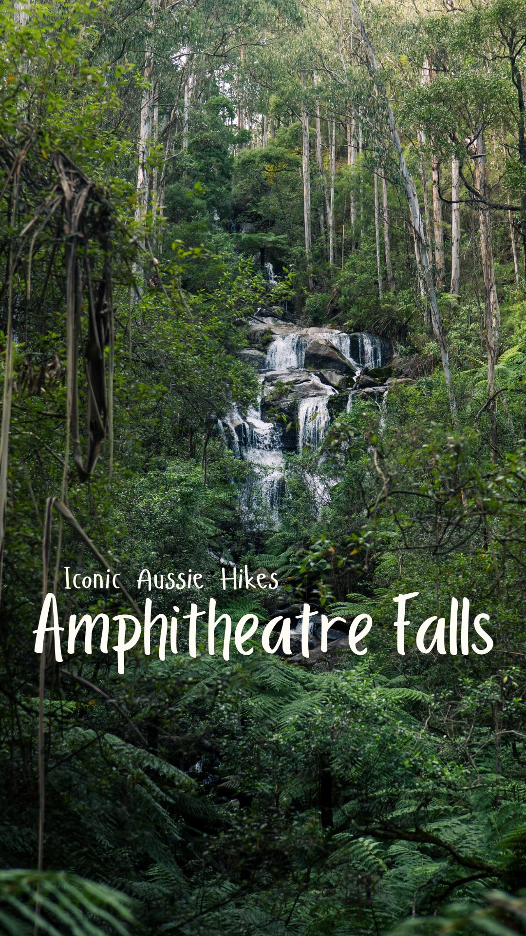 Rory & Lauren | Vanlife & Adventure Travel, Noojee Trestle Bridge Rail Trail