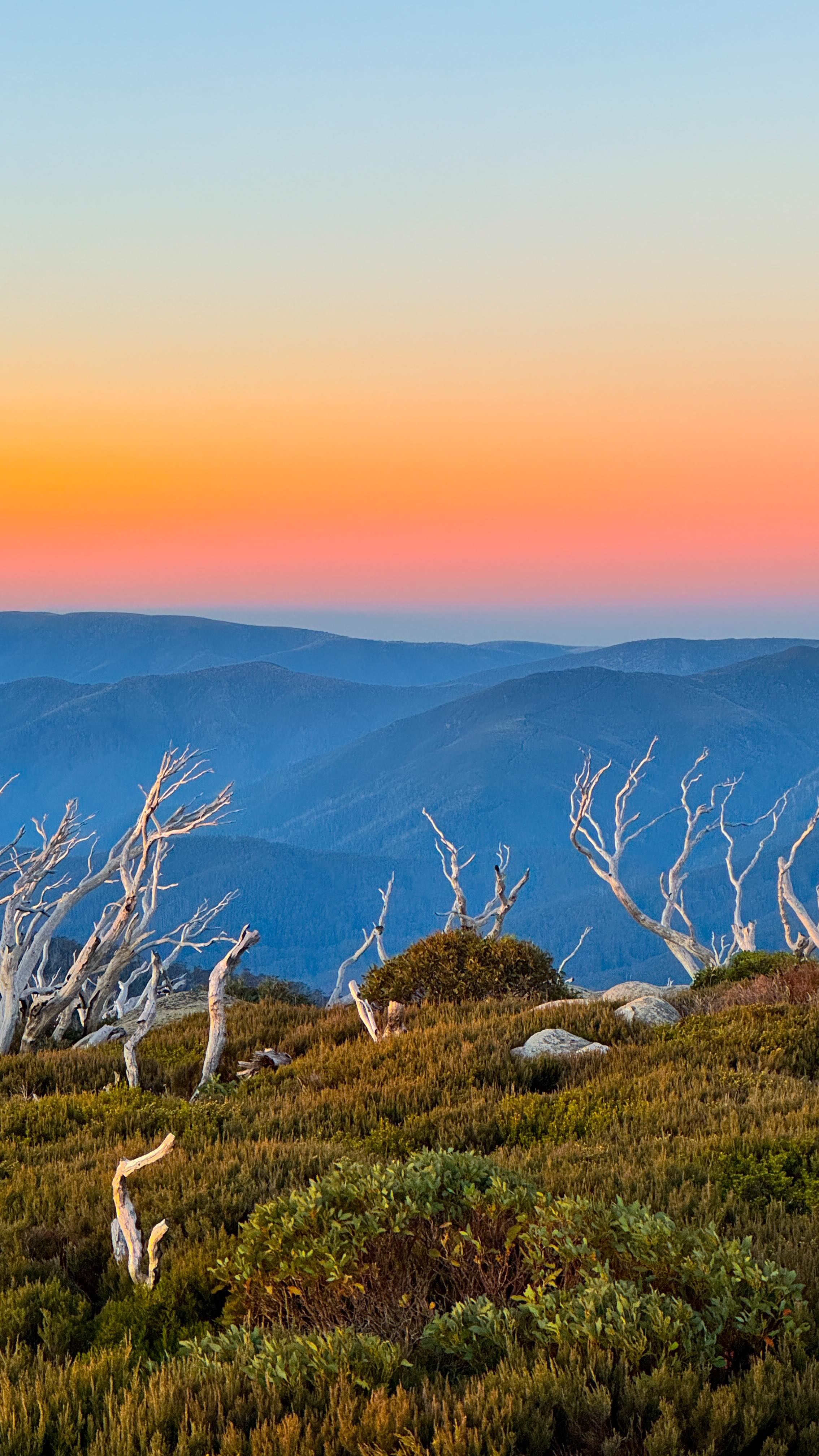 Nathan Sawaya, Mount Hotham