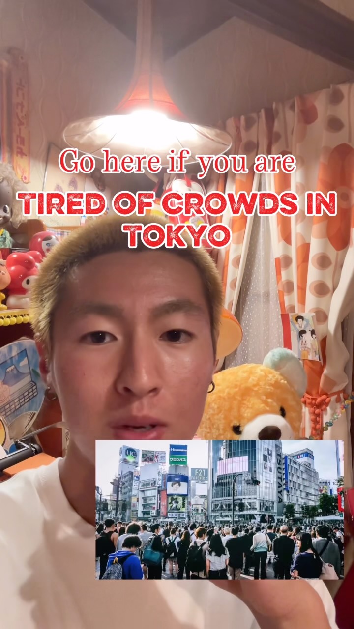 Toa | Tokyo Local Guide, Shibamata Taishakuten