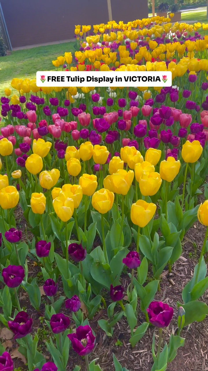 Neelam | Melbourne | Travel, Food & Stay, Conservatory Gardens