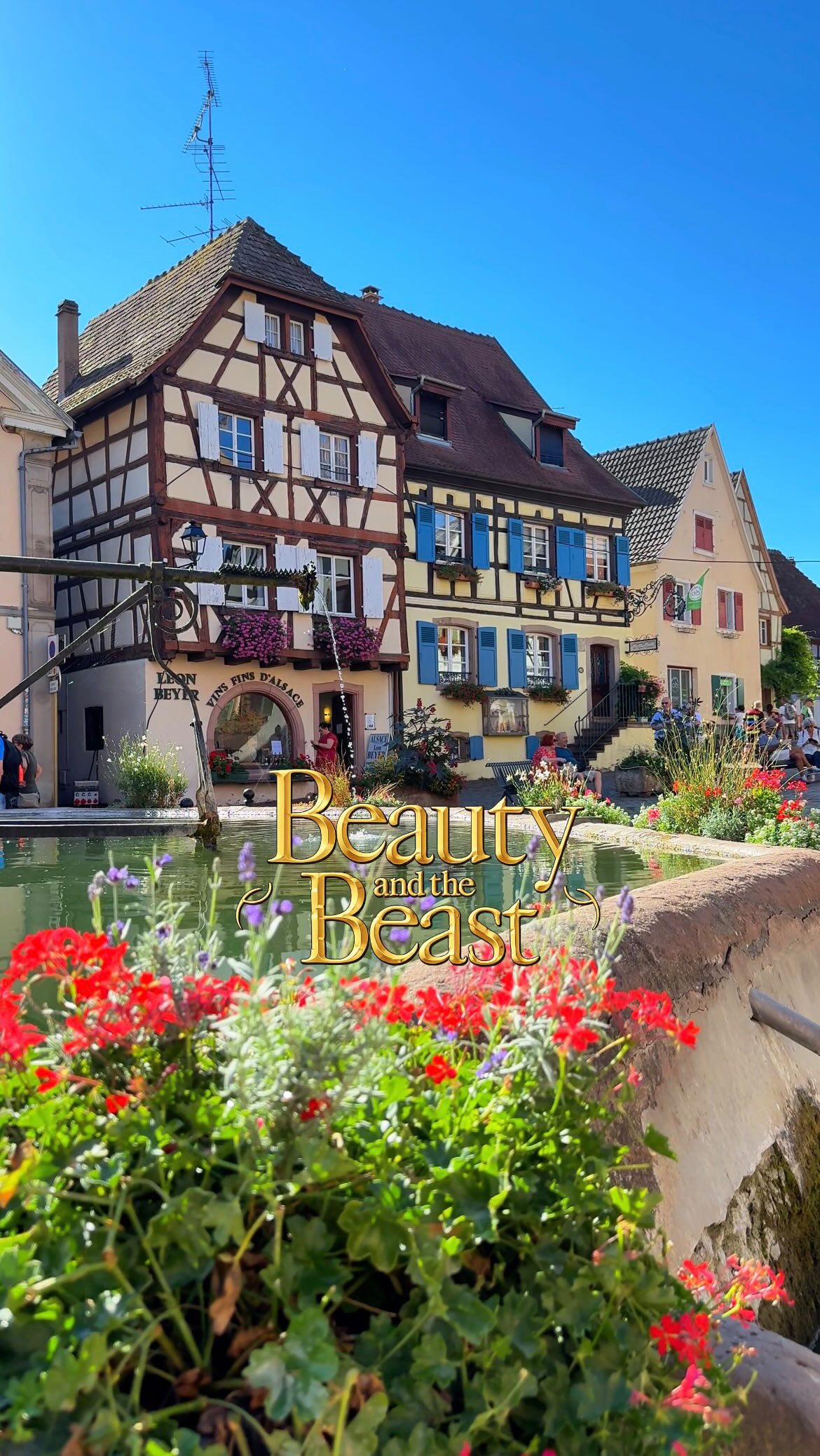 MELANIE | TRAVEL CREATOR, Eguisheim