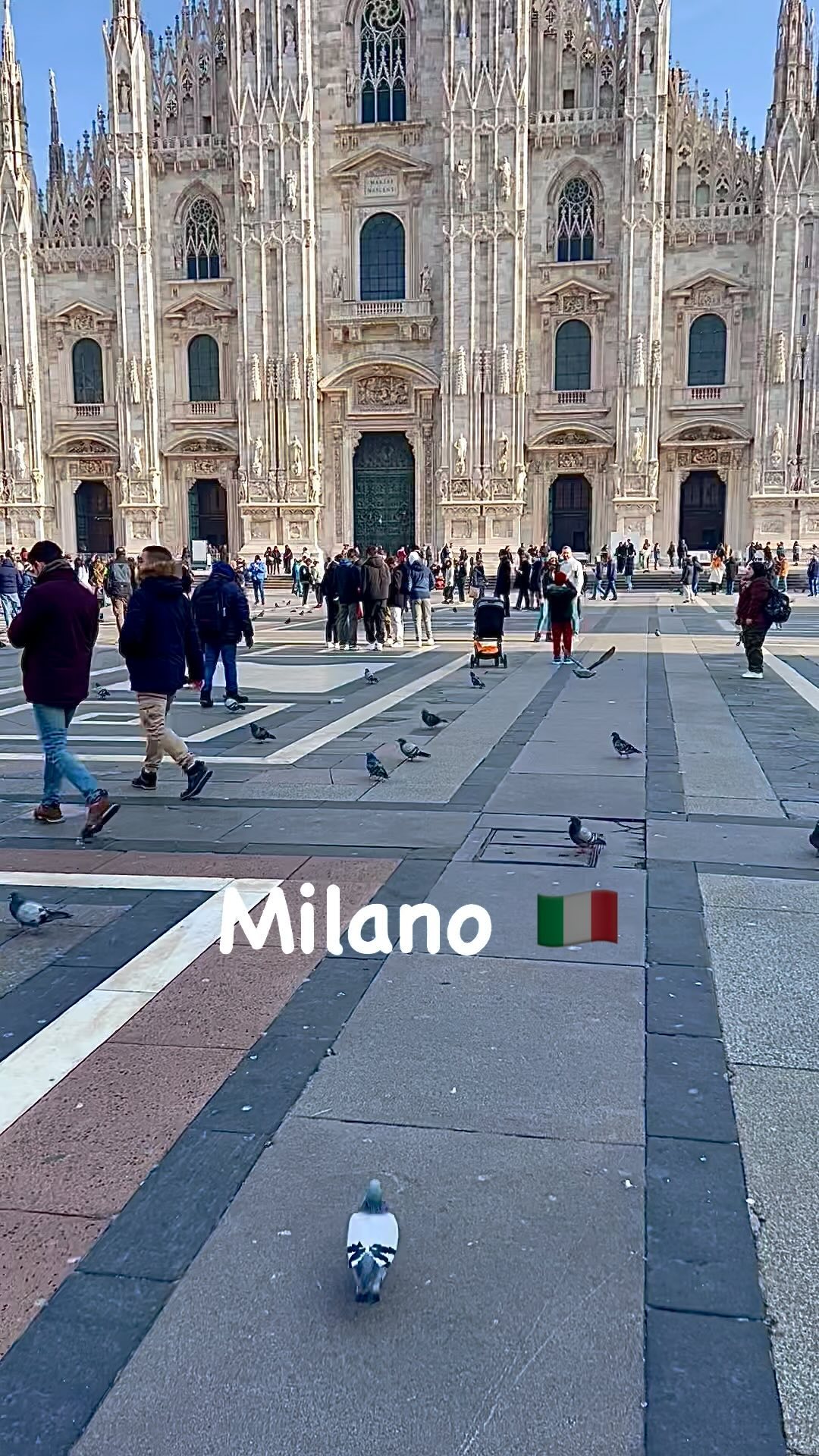 italia_io_ti_amo, Galleria Vittorio Emanuele II