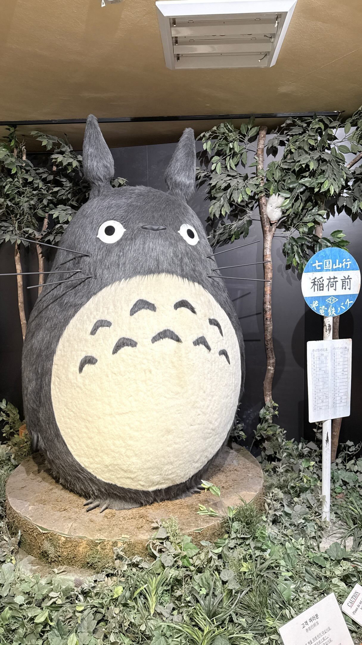 Porpim Puntaree, LUCUA Osaka