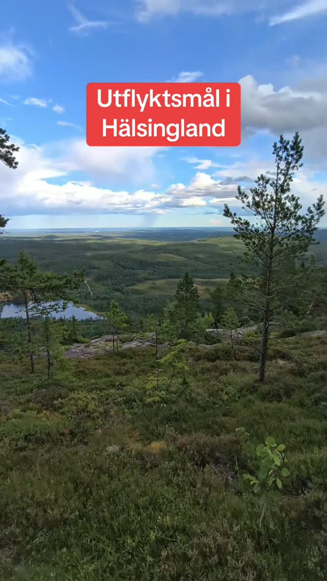 Kevin Hernborg, Blacksås