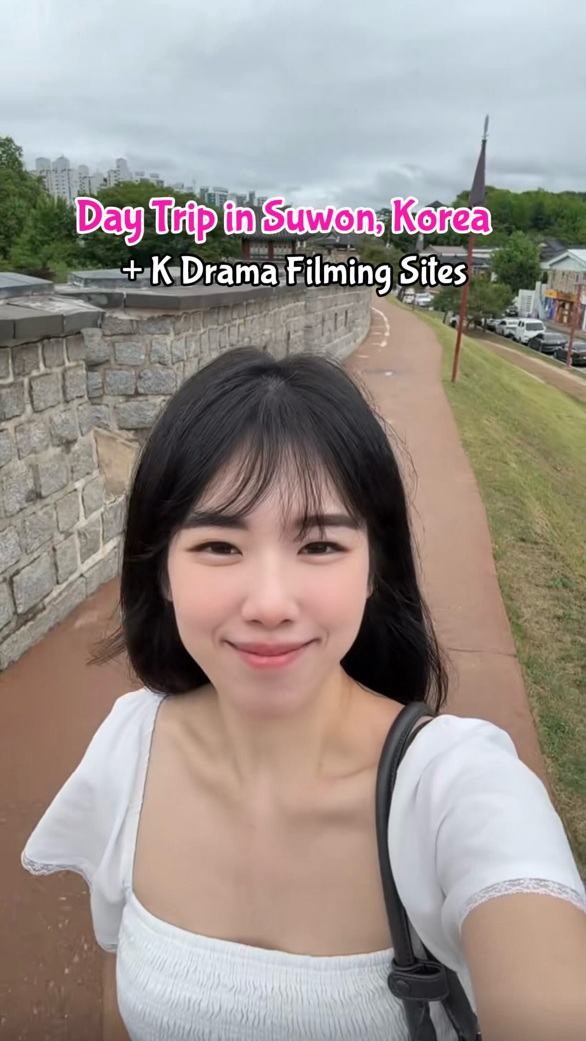 𝓣𝓲𝓯𝓯𝓪𝓷𝔂 𝓛. ˚⋆𐙚｡🐰𖦹.ᡣ𐭩˚, Suwon Hwaseong Fortress