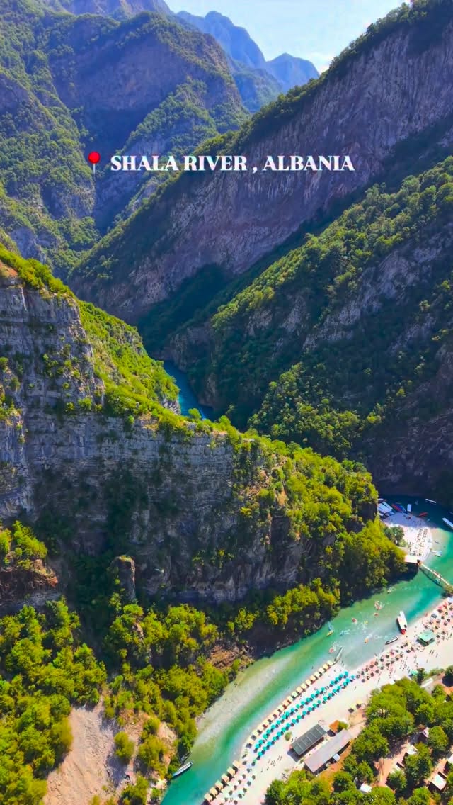 Guida Albania, Pazari i Ri