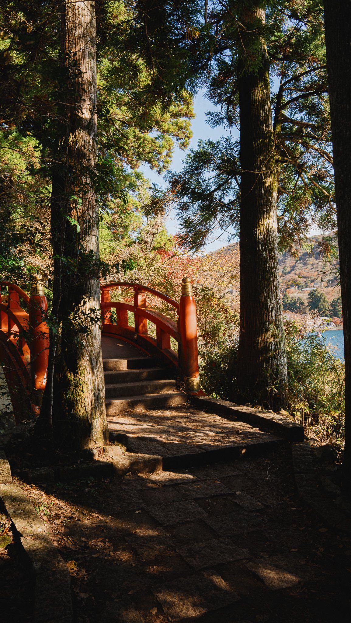WPÜ HAKONE, Hakone Shrine