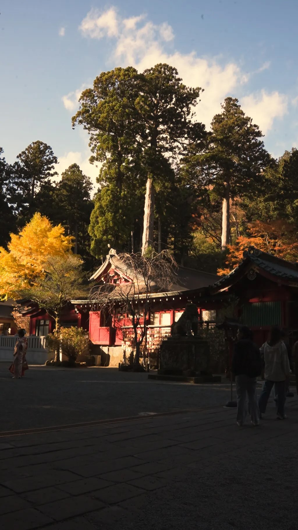 WPÜ HAKONE, Hakone
