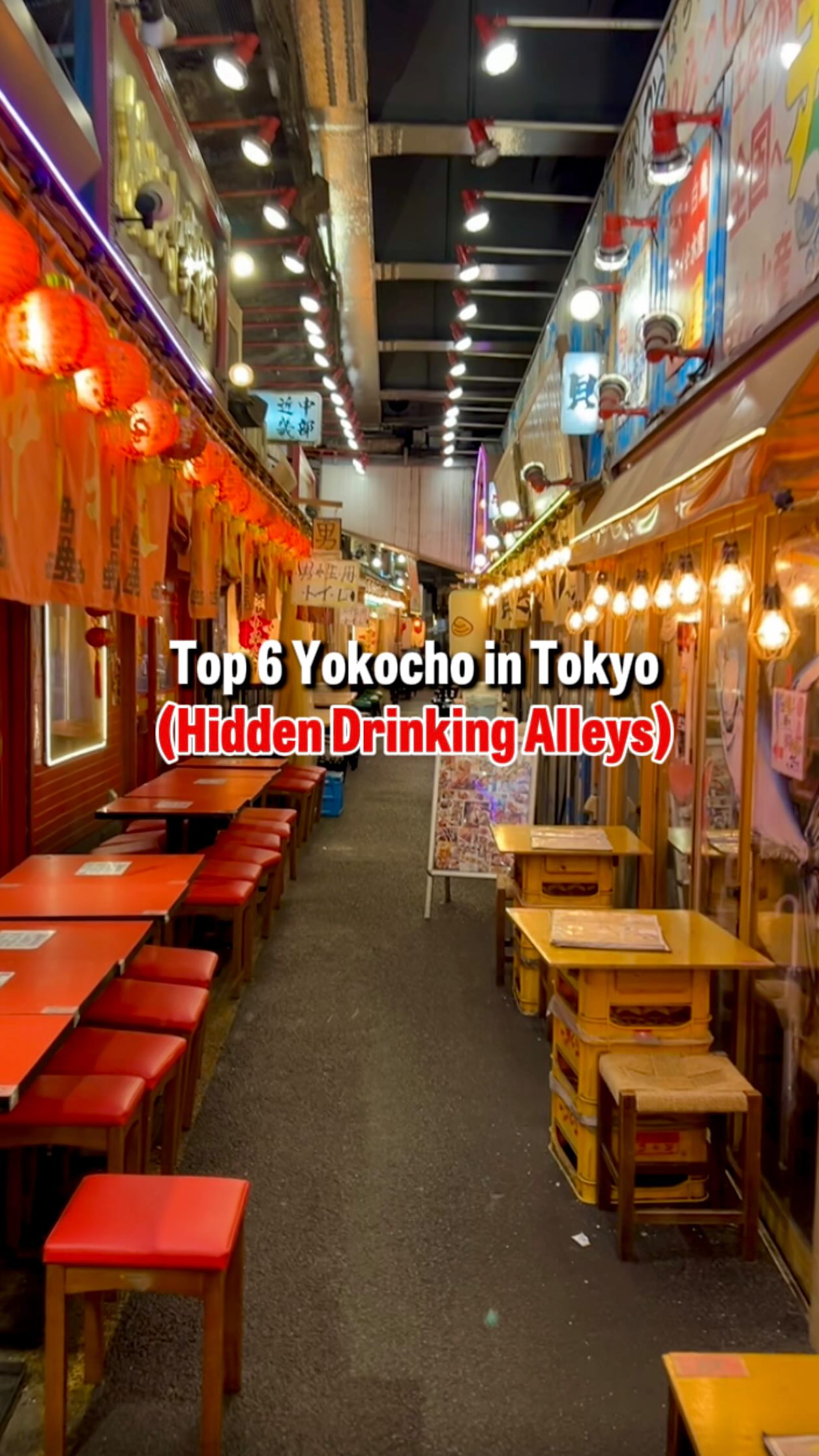 Tokyo Cheapo, Yurakucho Sanchoku Inshokugai / Yurakucho Farm to Table Dining Alley