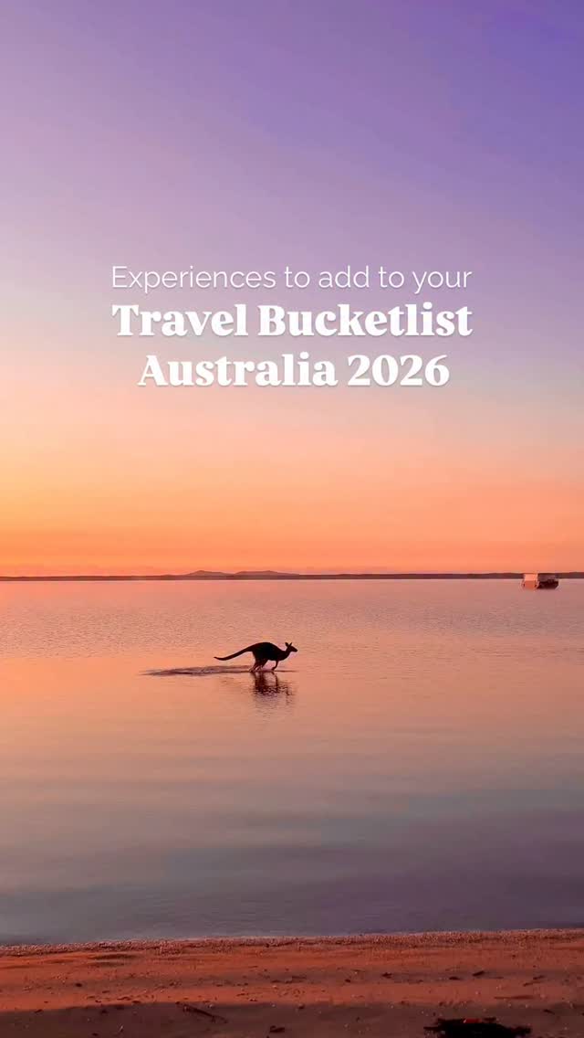 Helen B | Travel & Lifestyle, Daintree Rainforest