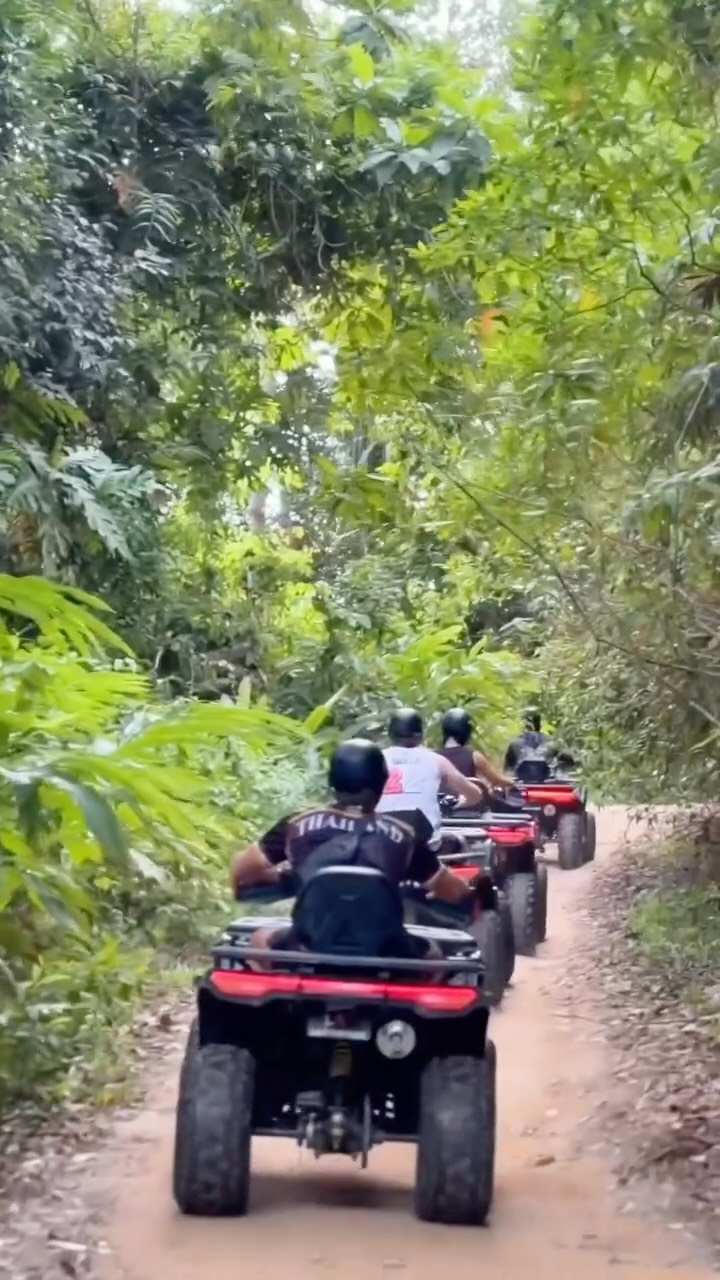 Jungle Quad, Tarnim Magic Garden