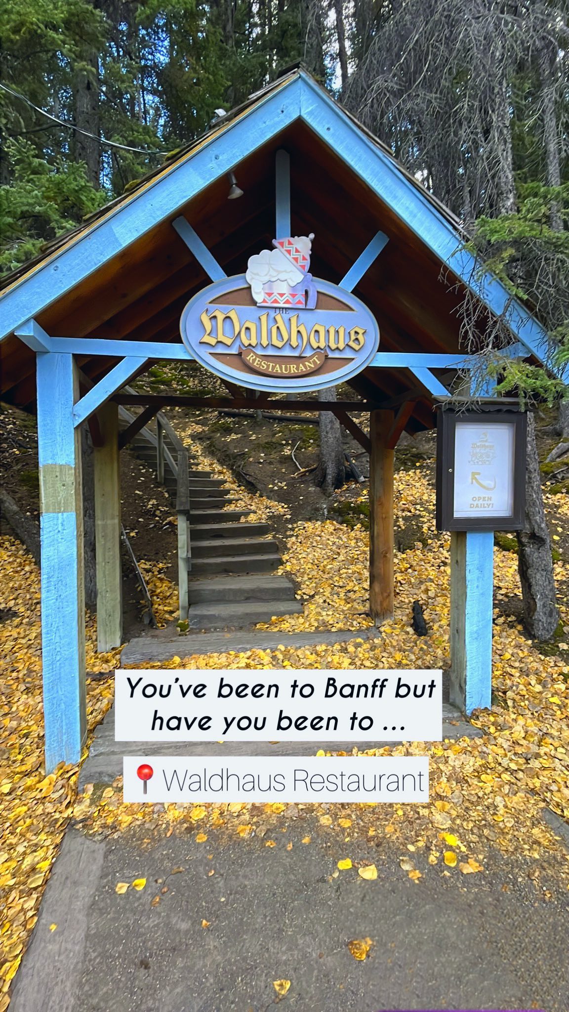 Dana📍Alberta & BC 🇨🇦 ☀️ Adventure Travel, Fairmont Banff Springs