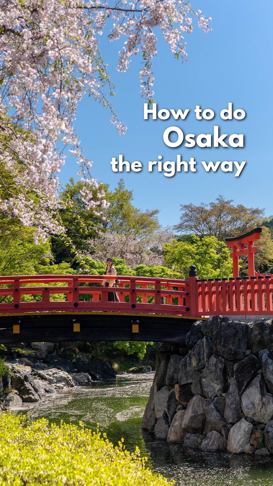 The Travel Intern, Hirakata Park